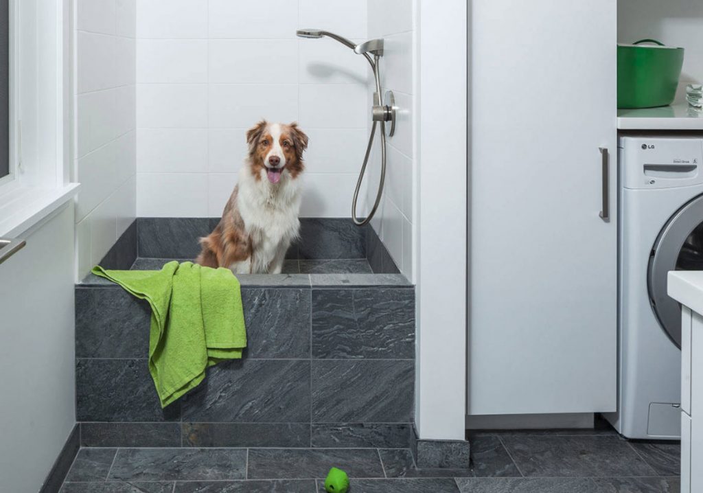 Dog Showers My Bathroom Renovations