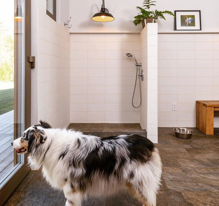 Is It Weird To Shower With Your Dog